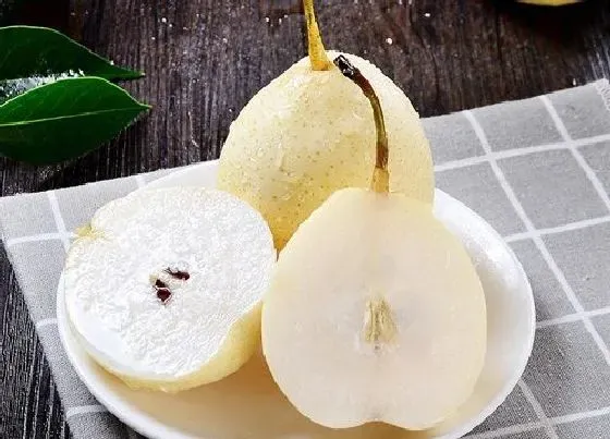 食用科普|梨籽能吃吗