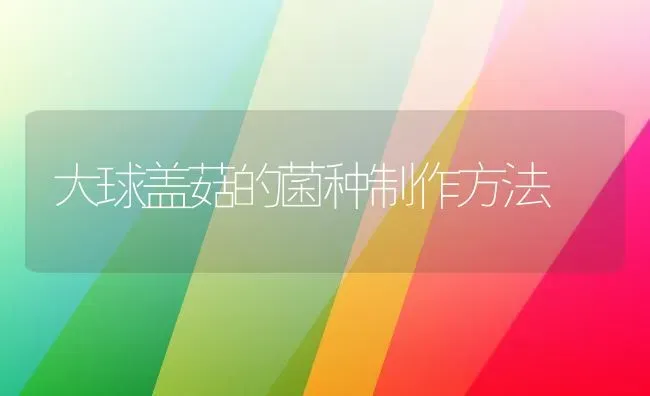 大球盖菇的菌种制作方法 | 食用菌种植