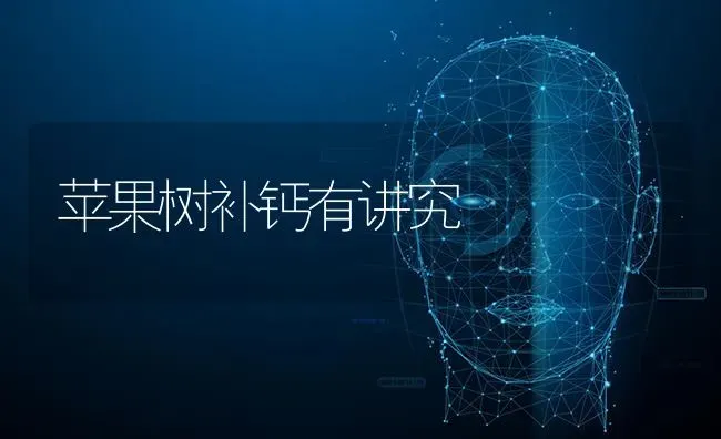 苹果树补钙有讲究 | 瓜果种植