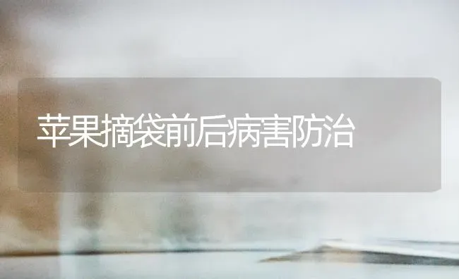 苹果摘袋前后病害防治 | 瓜果种植
