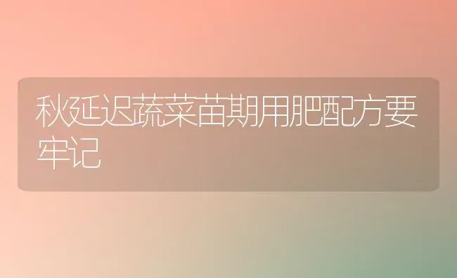 秋延迟蔬菜苗期用肥配方要牢记 | 蔬菜种植