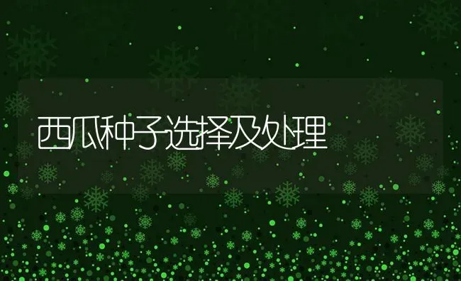西瓜种子选择及处理 | 瓜果种植