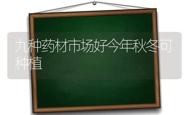 九种药材市场好今年秋冬可种植 | 药材种植