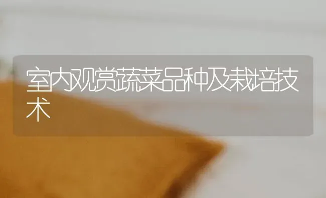室内观赏蔬菜品种及栽培技术 | 蔬菜种植