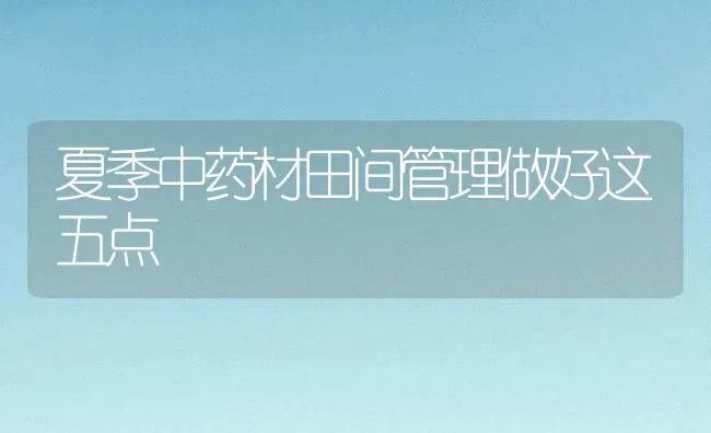 夏季中药材田间管理做好这五点 | 药材种植