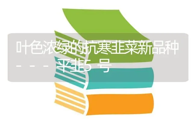 叶色浓绿的抗寒韭菜新品种---平韭5号 | 蔬菜种植