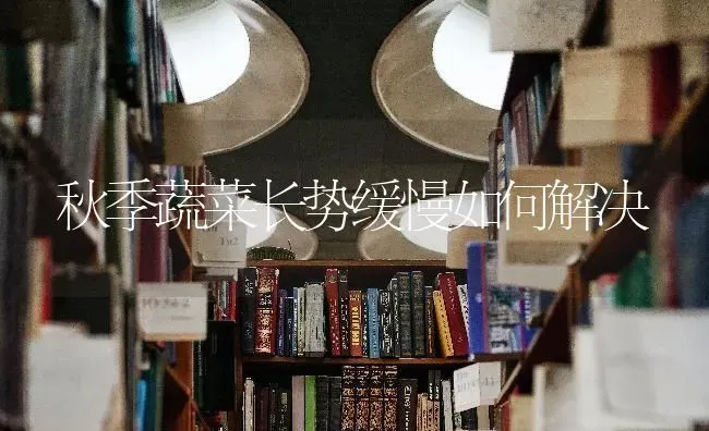 秋季蔬菜长势缓慢如何解决 | 蔬菜种植