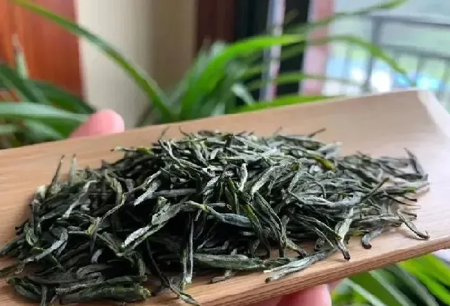 食用常识|富硒茶属于什么茶类等级