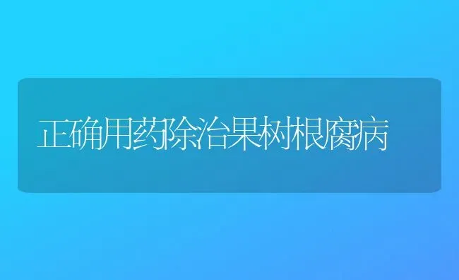 正确用药除治果树根腐病 | 瓜果种植