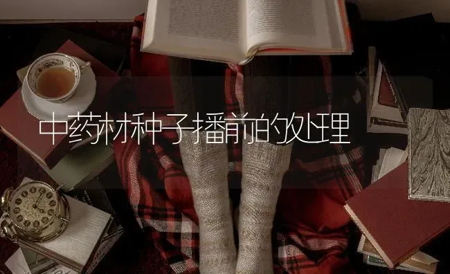 中药材种子播前的处理 | 药材种植
