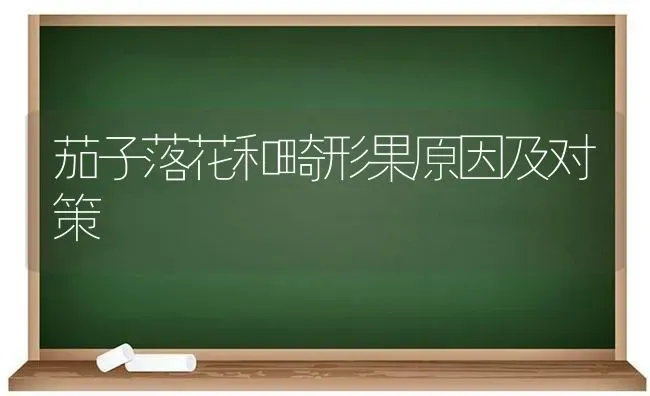 茄子落花和畸形果原因及对策 | 瓜果种植