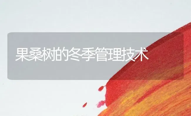 果桑树的冬季管理技术 | 瓜果种植