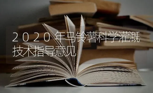 2020年马铃薯科学灌溉技术指导意见 | 粮油作物种植