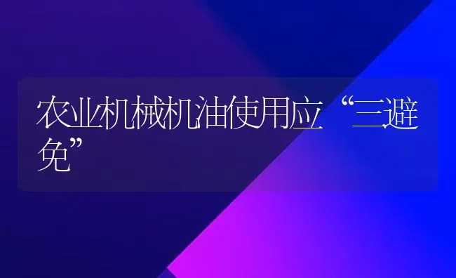 甜瓜育苗及定植注意事项 | 瓜果种植