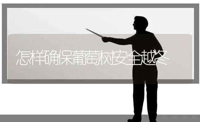 怎样确保葡萄树安全越冬 | 瓜果种植