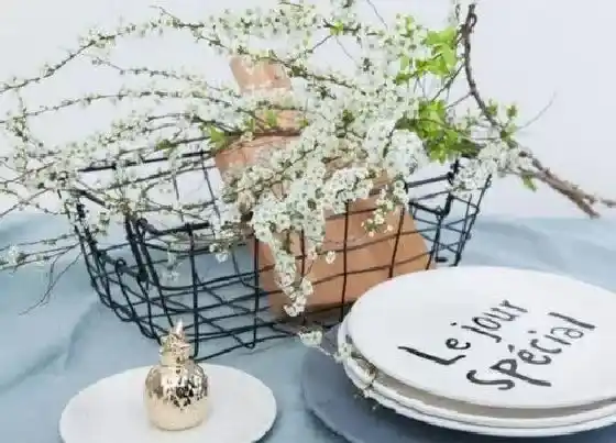 花期|雪柳干枝花期多少天(鲜花雪柳枝条可以养多久开花)