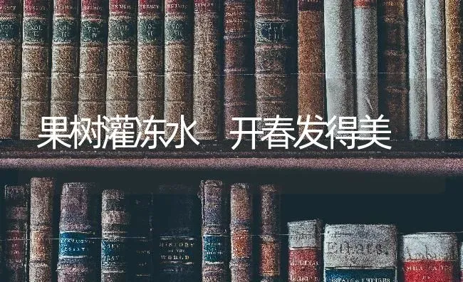 果树灌冻水 开春发得美 | 瓜果种植