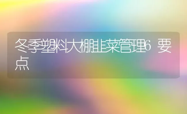 冬季塑料大棚韭菜管理6要点 | 蔬菜种植
