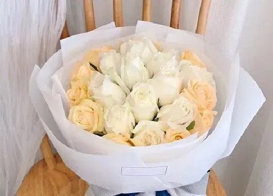 送花|女生生日送什么花合适