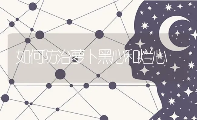 如何防治萝卜黑心和烂心 | 蔬菜种植