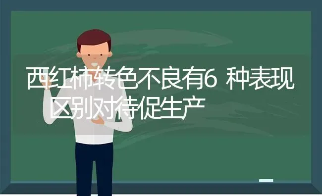 西红柿转色不良有6种表现 区别对待促生产 | 蔬菜种植