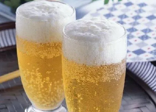植物浇水|过期啤酒可以浇花吗