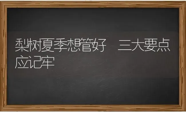 梨树夏季想管好 三大要点应记牢 | 瓜果种植