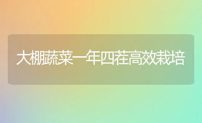 大棚蔬菜一年四茬高效栽培 | 蔬菜种植