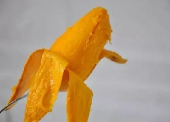 营养价值|芒果皮可以吃吗 有什么好处与功效