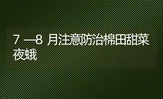 7—8月注意防治棉田甜菜夜蛾 | 蔬菜种植