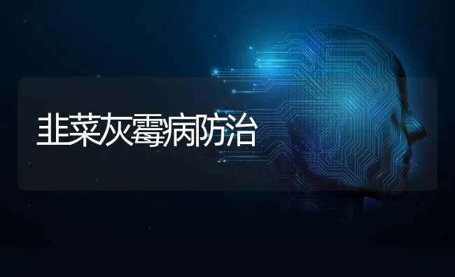 韭菜灰霉病防治 | 蔬菜种植