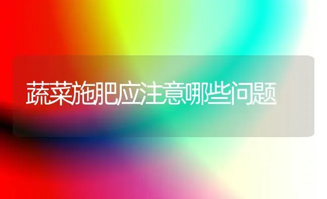 蔬菜施肥应注意哪些问题 | 蔬菜种植