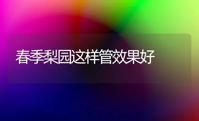 春季梨园这样管效果好 | 瓜果种植