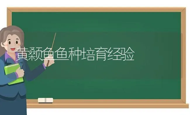 国审早熟马铃薯新品种——中薯三号 | 粮油作物种植