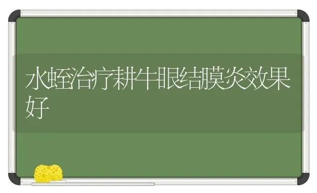 水蛭治疗耕牛眼结膜炎效果好 | 瓜果种植