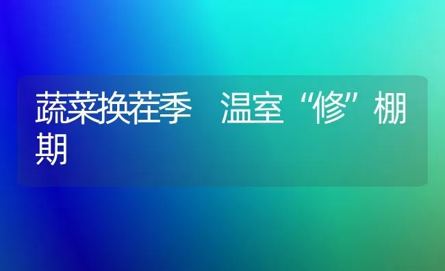 蔬菜换茬季 温室“修”棚期 | 蔬菜种植