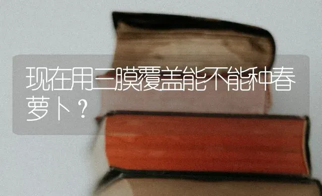 现在用三膜覆盖能不能种春萝卜？ | 蔬菜种植