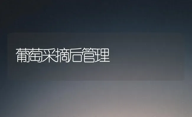 葡萄采摘后管理 | 瓜果种植
