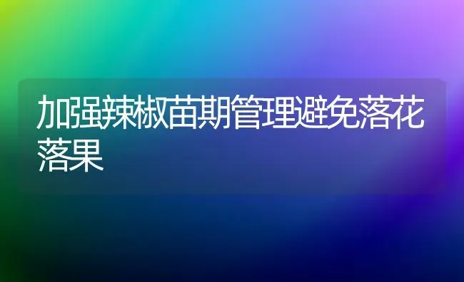 加强辣椒苗期管理避免落花落果 | 瓜果种植