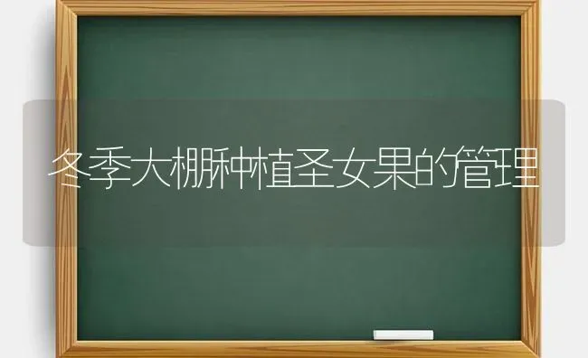 冬季大棚种植圣女果的管理 | 瓜果种植