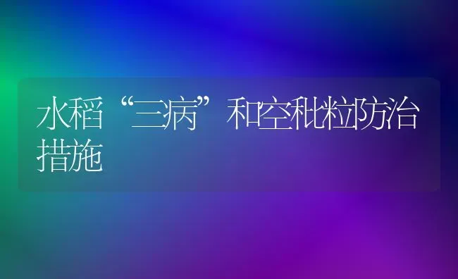 水稻“三病”和空秕粒防治措施 | 粮油作物种植