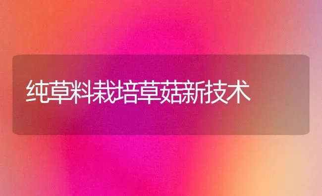 纯草料栽培草菇新技术 | 食用菌种植