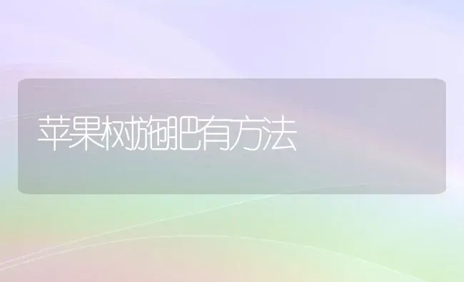 苹果树施肥有方法 | 瓜果种植