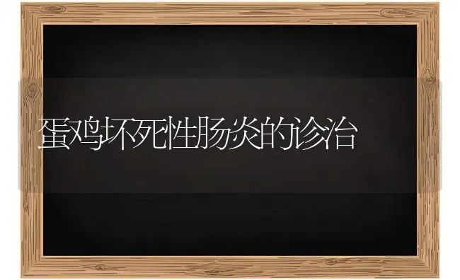 葡萄秋季移栽好处多 | 瓜果种植