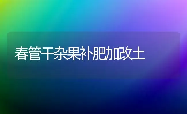 春管干杂果补肥加改土 | 瓜果种植