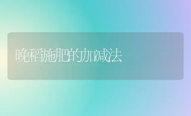 晚稻施肥的加减法 | 种植肥料施肥