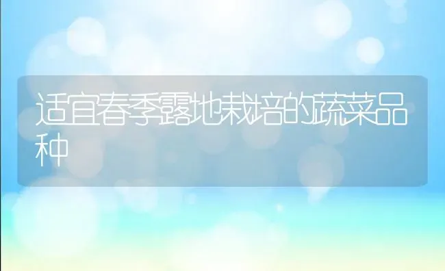 适宜春季露地栽培的蔬菜品种 | 蔬菜种植