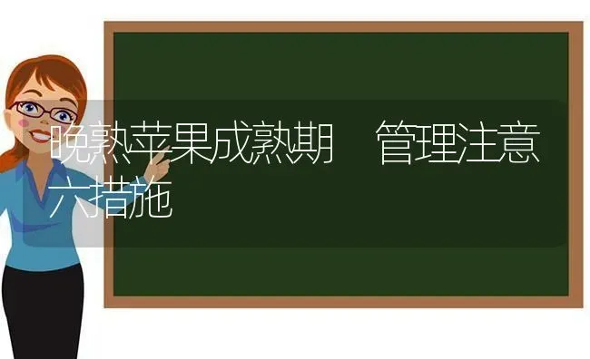 晚熟苹果成熟期 管理注意六措施 | 瓜果种植