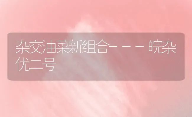 杂交油菜新组合---皖杂优二号 | 粮油作物种植