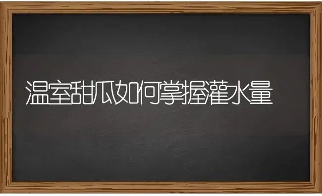 温室甜瓜如何掌握灌水量 | 瓜果种植